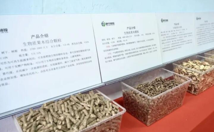 甘肅省靜寧縣仁大鎮(zhèn)生物質廢棄物綜合利用項目建成投產(chǎn)