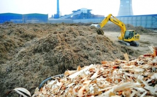 廊坊市大城縣生物質(zhì)顆粒燃料清潔供暖中